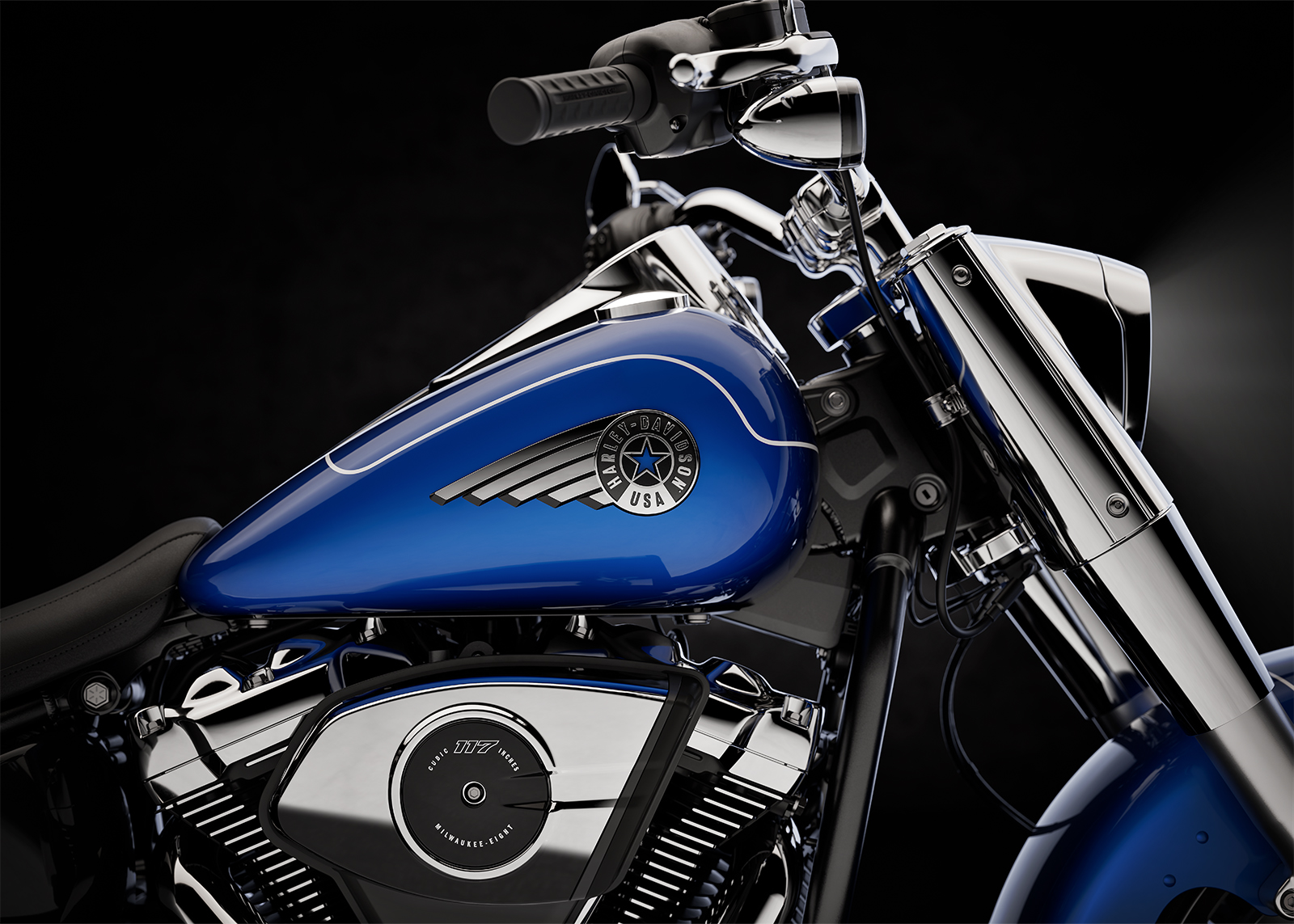 2025 Fat Boy Paint