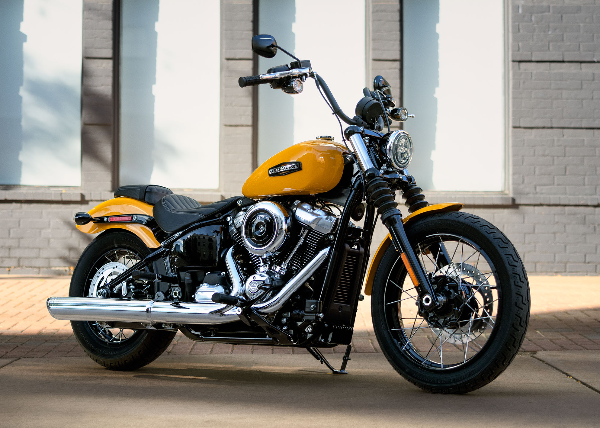 2025 Street Bob Beauty Shot